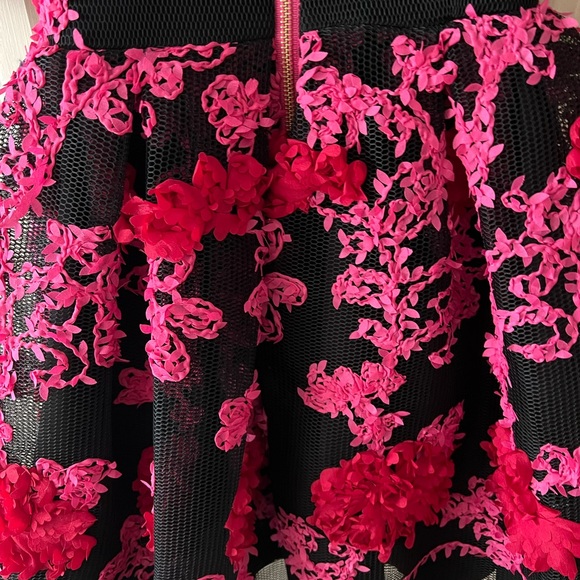 Zoe ltd dress - Picture 6 of 8